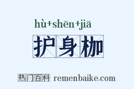 护身枷是什么意思的图片